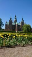 awm-2018-kopenhagen_img_145_20180602