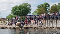 awm-2018-kopenhagen_img_165_20180602