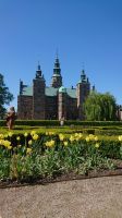 awm-2018-kopenhagen_img_310_20180602