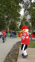 tagdessports_2018_120