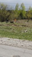 IMG_20170423_140205